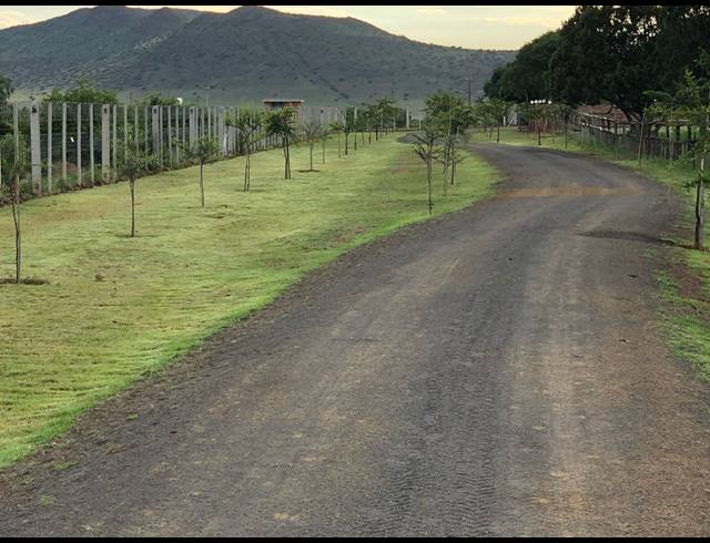 471HA FARM FOR SALE IN MIDDELBURG RURAL